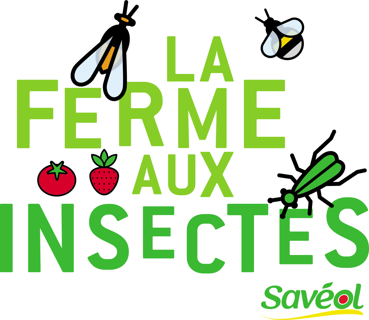 La ferme aux insectes