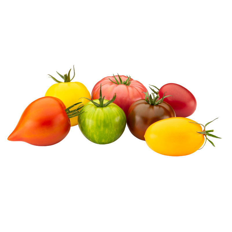 Tomate collection gourmande