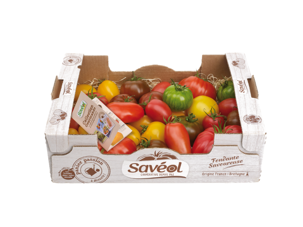 Tomate collection gourmande
