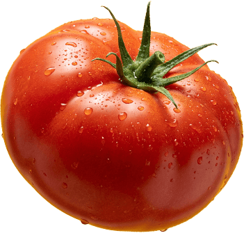 Tomate Classique